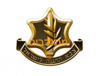 מתנדבים בצה&quot;ל שיפור השירות