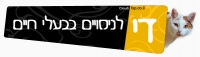 די להתעללות ברשויות המקומיות