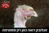 להחרים את זוגלובק וטבע עוף!