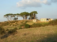 טירת השלום בנס ציונה