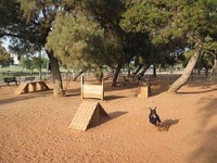 הקמת גינות כלבים בנהריה