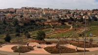 שומרים על צור הדסה חופשית