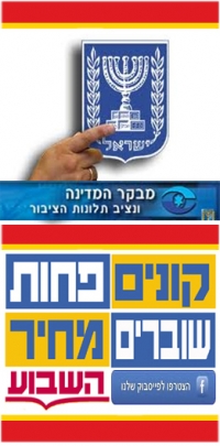 קרטליזם - קריאה למבקר המדינה