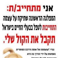 הורדת מחירים הטיפולים הווטרינרים