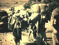 האם חשוב שילדנו ילמדו שהיו גם פליטים יהודים?