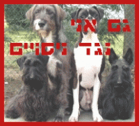 גם אני נגד ניסויים בחיות