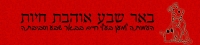 פרויקט עיקור וסירוס חתולי הרחוב בבאר שבע