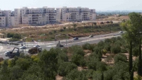 תחבורה  לשוהם  מפ&quot;ת