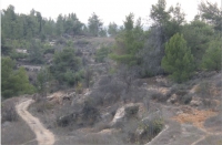 שמירה על העמק הלבן
