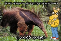 מאבק על זכויות דובי הנמלים