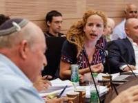 מחזירים את סתיו שפיר לוועדת הכספים