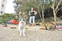 לעצור את עיריית פתח תקווה מלהגביל תושבים בהחזקה של עד 2 בעלי חיים
