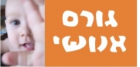 מפסיקים להשתמש במונח תאונה בכל הקשור לקטל בכבישים