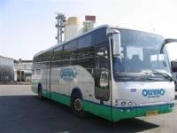 תחבורה ציבורית במטה יהודה