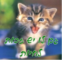 עצומה נגד היתעללות בבעלי חיים