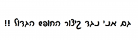 נגד קיצור החופש הגדול