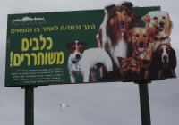 אי הריסת גינת הכלבים ברחוב החלוצים - פלורנטין.