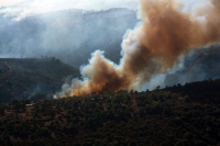 דרישה להקמת ועדת חקירה ממלכתית על אסון השריפה בכרמל