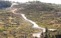 לא לחומה בעמק רפאים