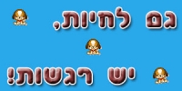 הצלת הכלבים!