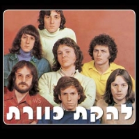 הופעת איחוד של כוורת