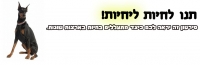 די להתעללות בבעלי חיים
