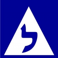 הקרטל של מורי הנהיגה בישראל