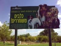 בקשה להקמת מתחם כלבים נוסף בעיר גבעתיים, בגינת מרים המשופצת, בסמטת המעלות