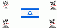 הבאת ארגון הWWE לישראל