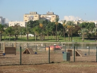 רוצים גינות כלבים ברחובות
