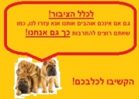 לא רוצחים כלבים ולא חולבים אותנו אנחנו לא פרות!