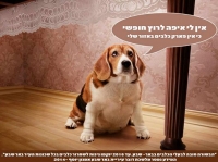 פארק כלבים בכל שכונה בבאר שבע