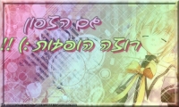 גם הצפון רוצה הופעות