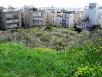 מניעת גידור ובנייה באזור שמורת גבעת קוזלובסקי בגבעתיים