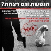 איסור חוק רצח בע"ח ללא בית בעזרת אקדח 